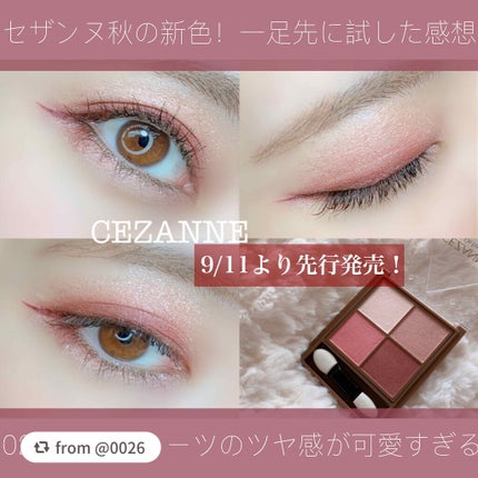 ニュアンスオンアイシャドウ/CEZANNE/アイシャドウパレットを使ったクチコミ(1枚目)