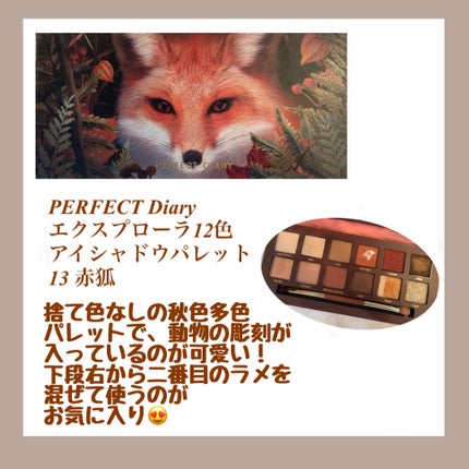 エクスプローラ12色 動物アイシャドウパレット/PERFECT DIARY/アイシャドウパレットを使ったクチコミ(8枚目)