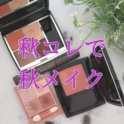 【旧】ディオールスキン ルージュ ブラッシュ 459 チャーネル〈ディオール エン ルージュ エディション〉(生産終了)/Dior/パウダーチークを使ったクチコミ(1枚目)