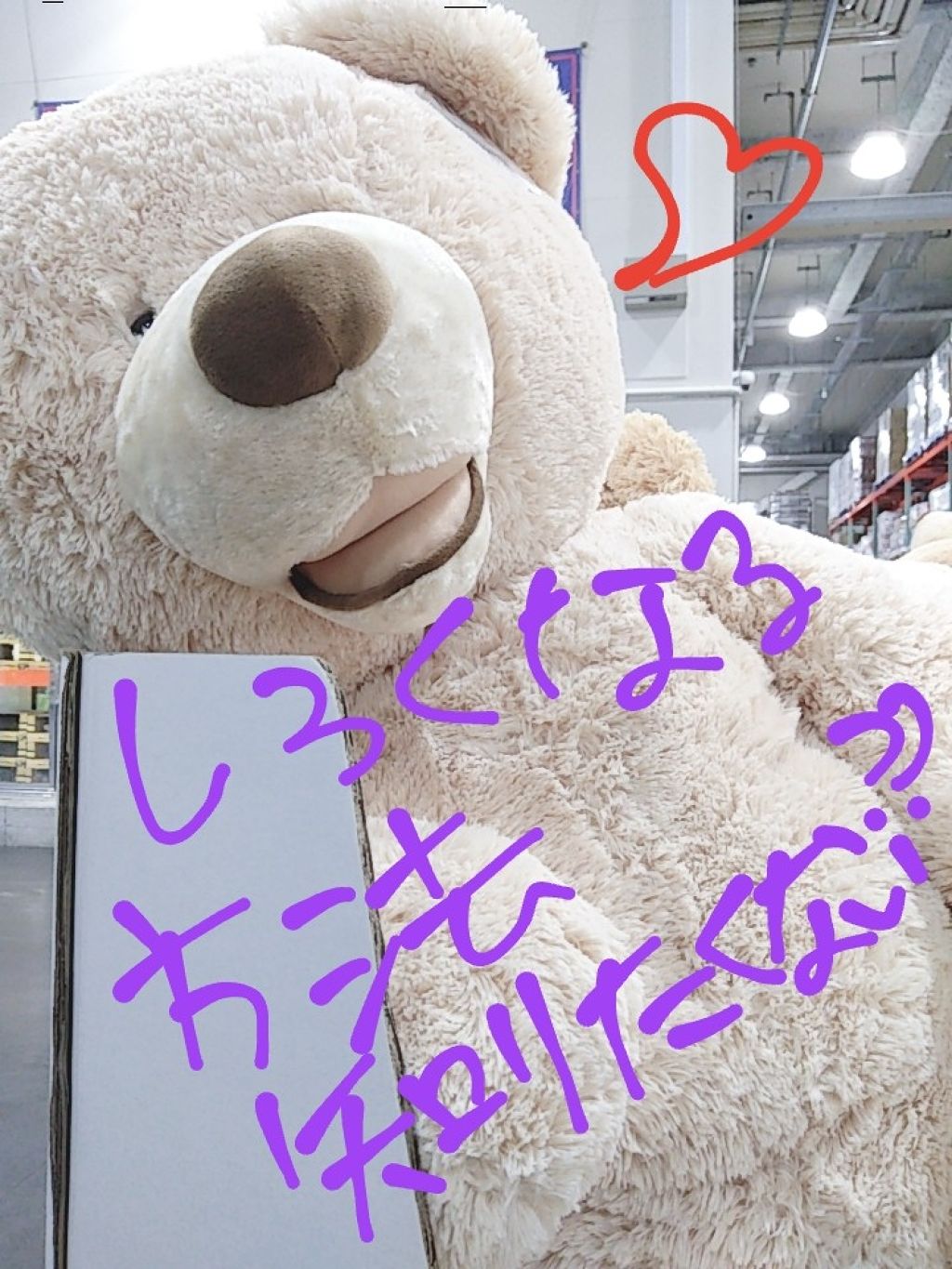 UR GLAM　WHITE POWDER/U R GLAM/プレストパウダーを使ったクチコミ（1枚目）