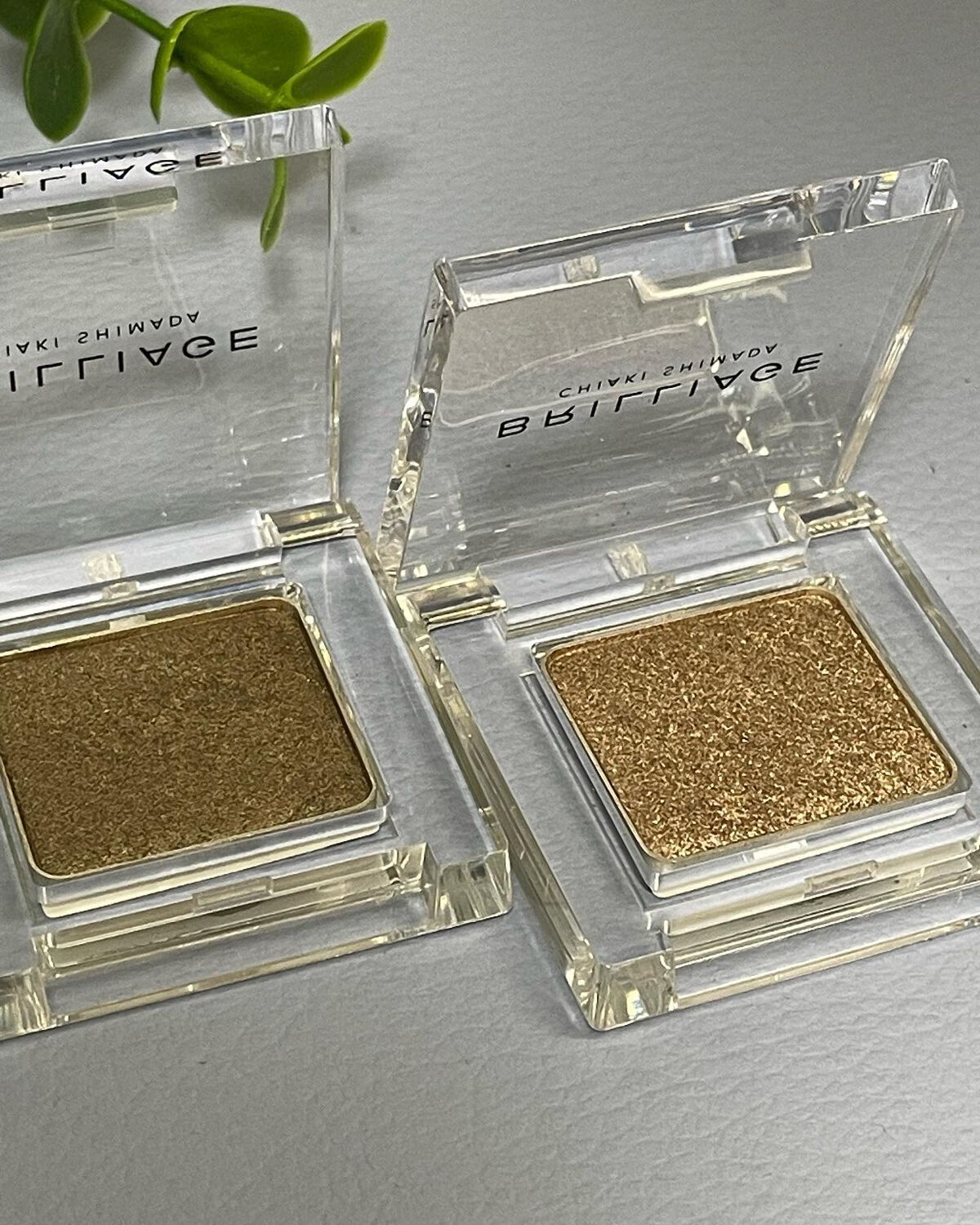 ワンダークリエイション /ブリリアージュ/単色アイシャドウを使ったクチコミ(2枚目)