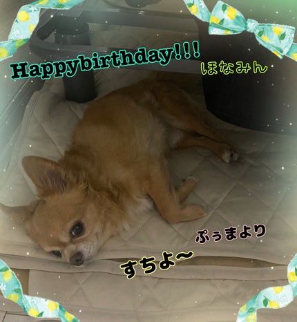 ACネイルエナメル 018 プラチナシルバー/セリア/マニキュアの画像