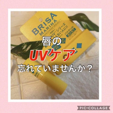 アスリートプロ UVリップクリーム/BRISA MARINA(ブリサマリーナ)/リップケア・リップクリームを使ったクチコミ（1枚目）