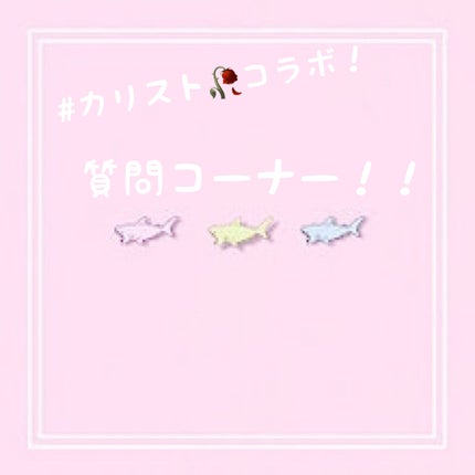 プロ アイ パレット/CLIO/アイシャドウパレットを使ったクチコミ(1枚目)