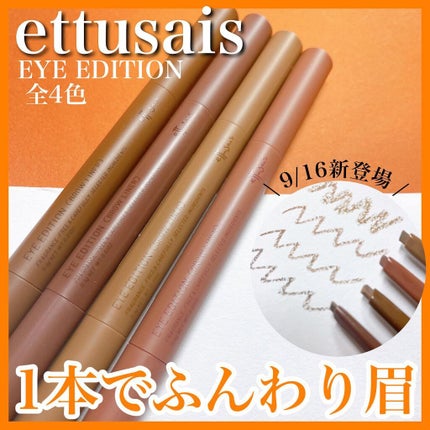エテュセ アイエディション(ブロウライナー)/ettusais/アイブロウペンシルを使ったクチコミ(1枚目)