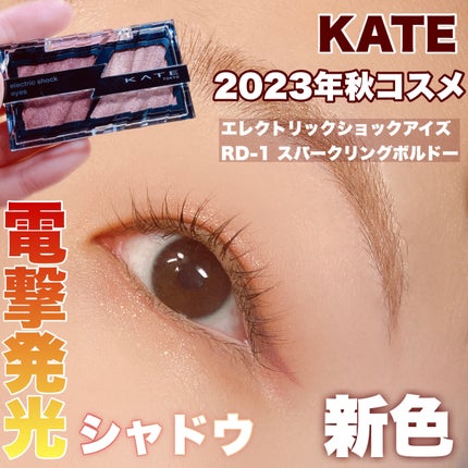 エレクトリックショックアイズ /KATE/アイシャドウパレットを使ったクチコミ(1枚目)