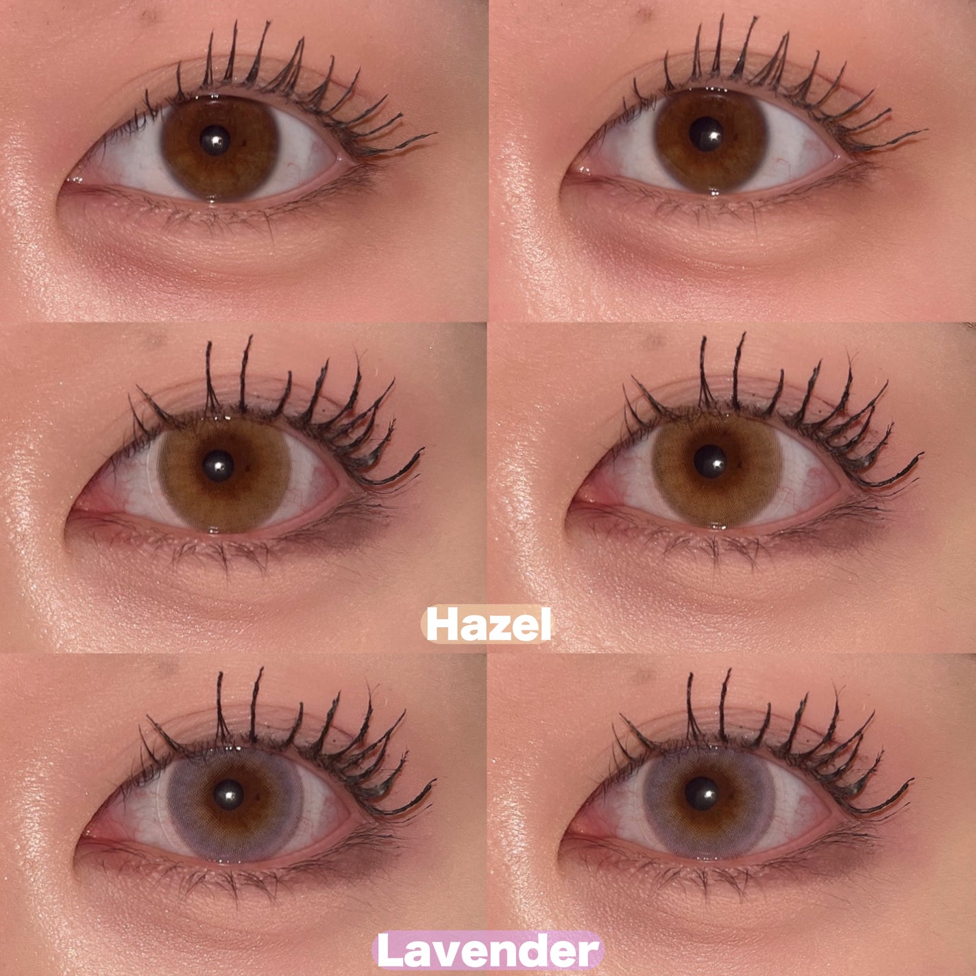 FrenchShine1day/OLENS/ワンデー(1DAY)カラコンを使ったクチコミ(3枚目)