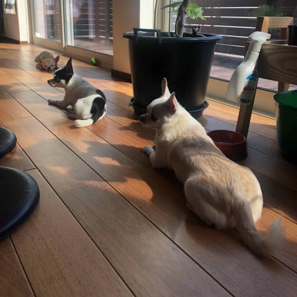 を使ったクチコミ(3枚目)