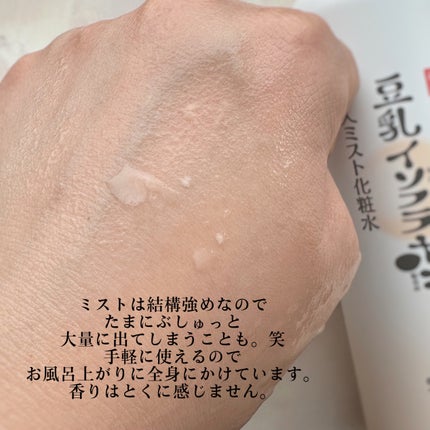 なめらか本舗 マイクロミスト化粧水 NC/なめらか本舗/ミスト状化粧水を使ったクチコミ(3枚目)