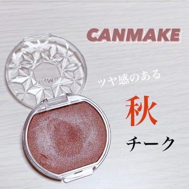 ☁️CANMAKE(キャンメイク)
      クリームチーク パールタイプ 
      P03 オランジュテラコッタ

うるっと艶やかな仕上がりになる
むにゅっと質感の生チーク🫧

・パール高配合の