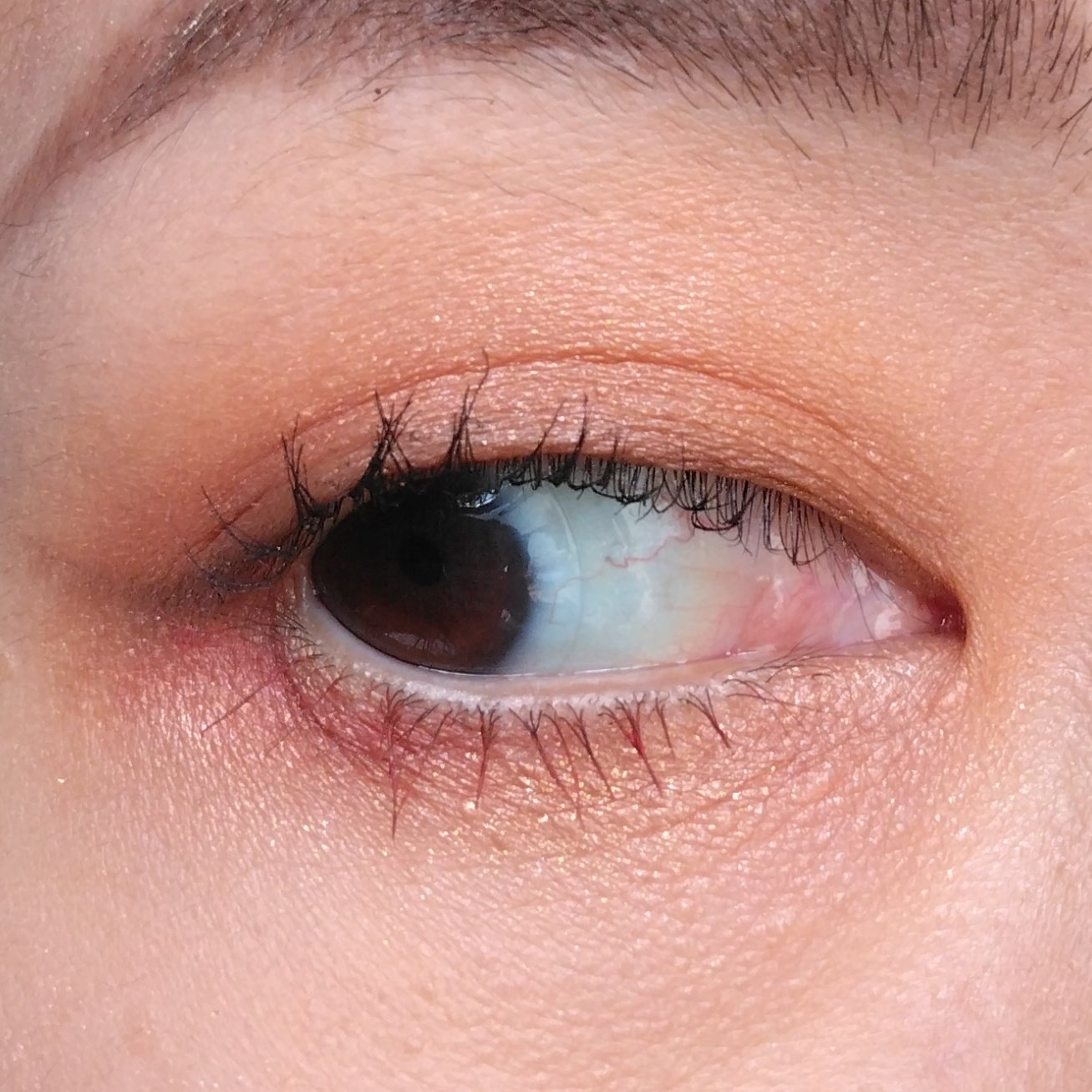 ビューティーベントー 06ポピーシャンパン/Kaja(カジャ)/単色アイシャドウを使ったクチコミ（2枚目）