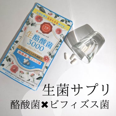  生酪酸菌3000/ミナミヘルシーフーズ/健康サプリメントを使ったクチコミ（2枚目）