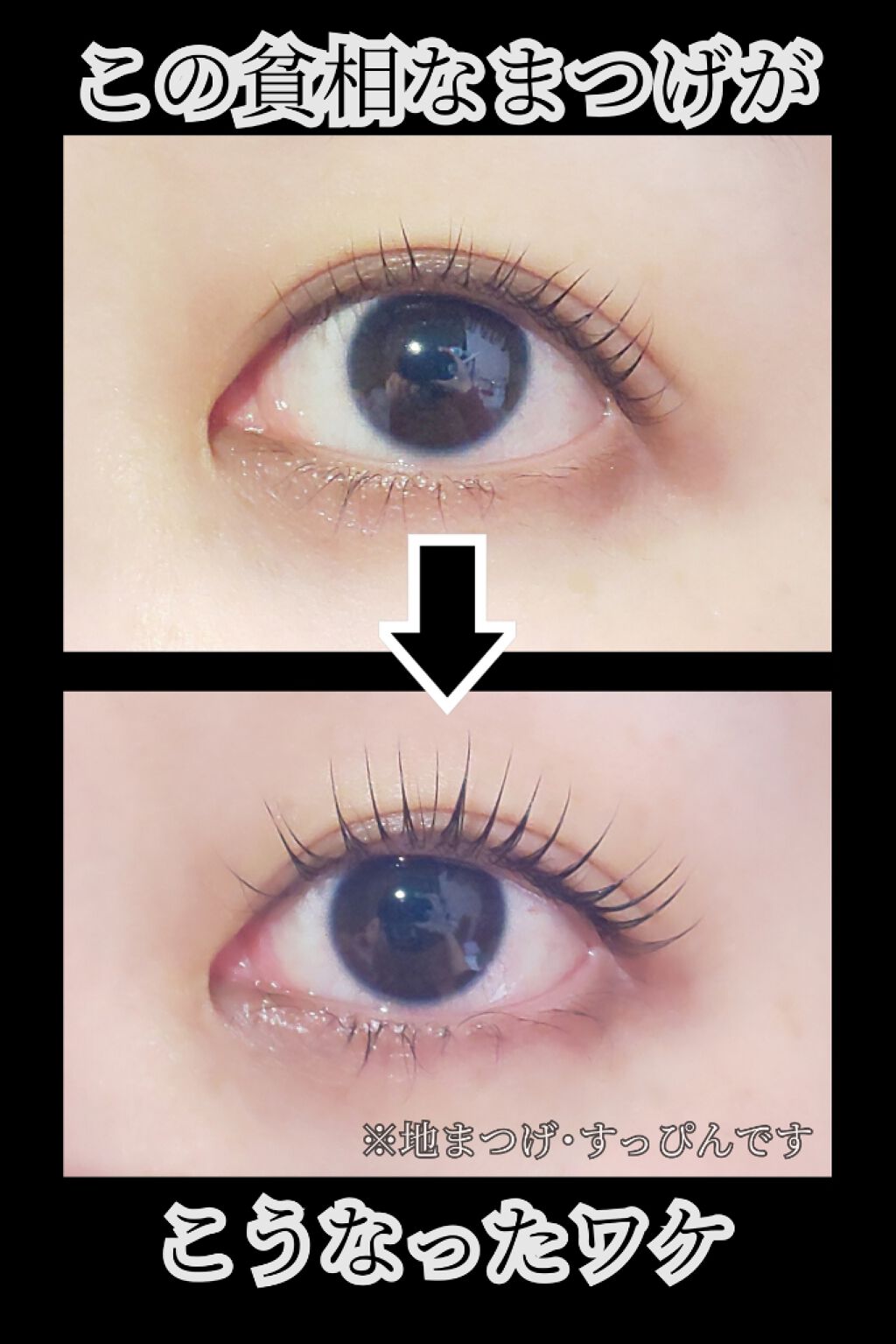 エグータム/アルマダスタイル/まつげ美容液を使ったクチコミ(1枚目)