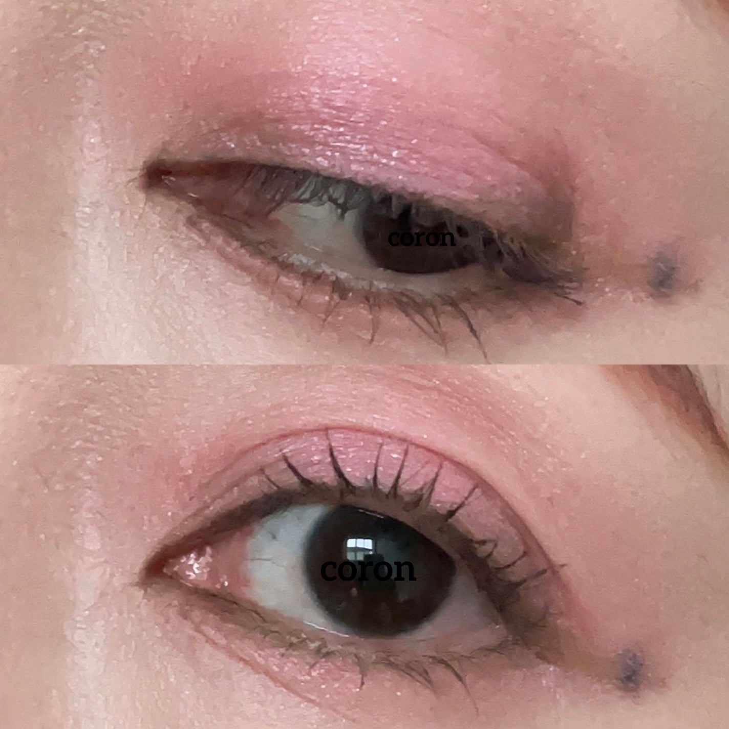 コンスピキュアス アイズ/Amplitude/アイシャドウパレットを使ったクチコミ(2枚目)