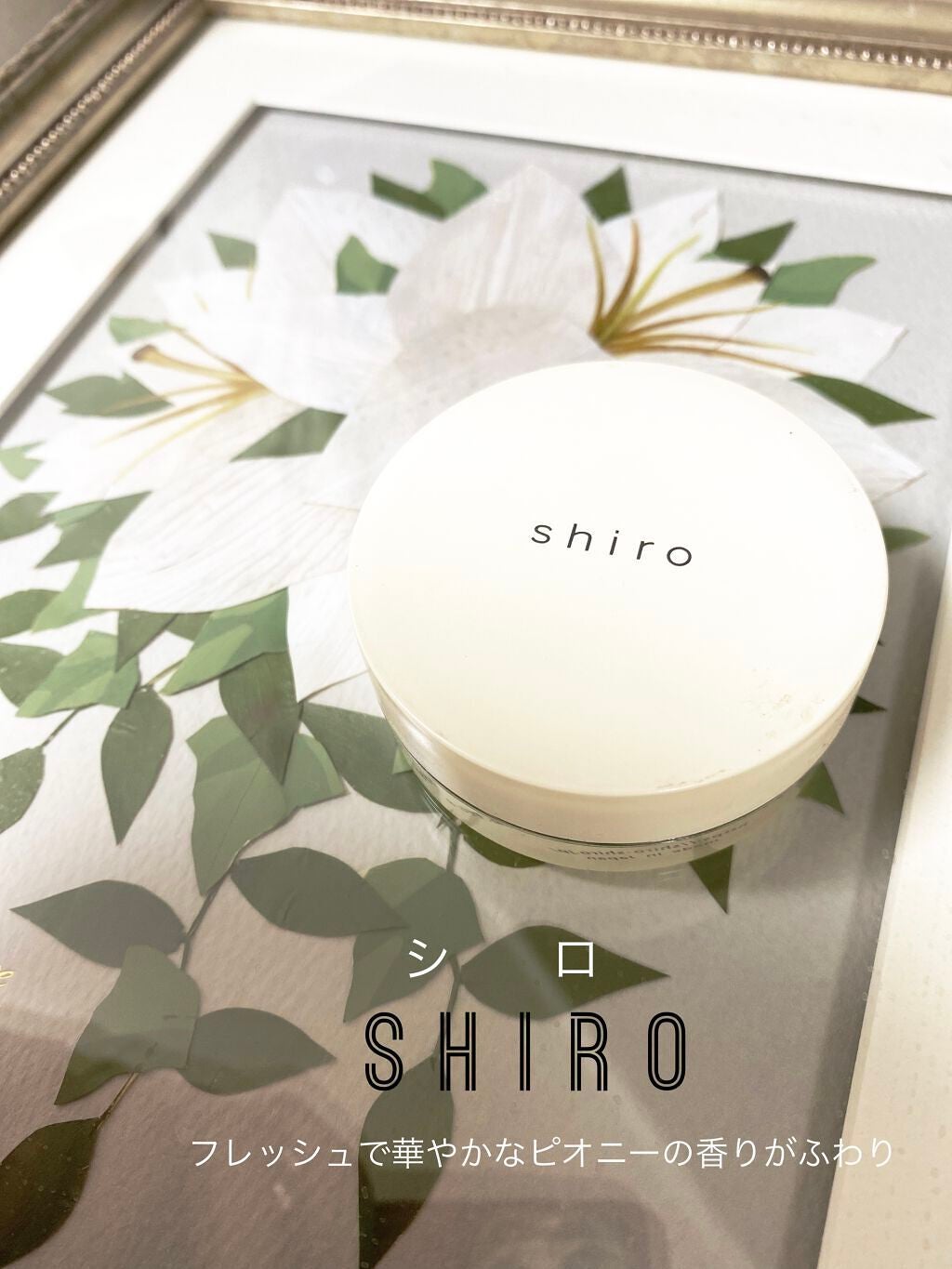 ピオニー 練り香水/SHIRO/練り香水を使ったクチコミ(1枚目)