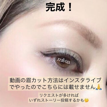 アイブロウシザーズ/SHISEIDO/その他化粧小物の画像