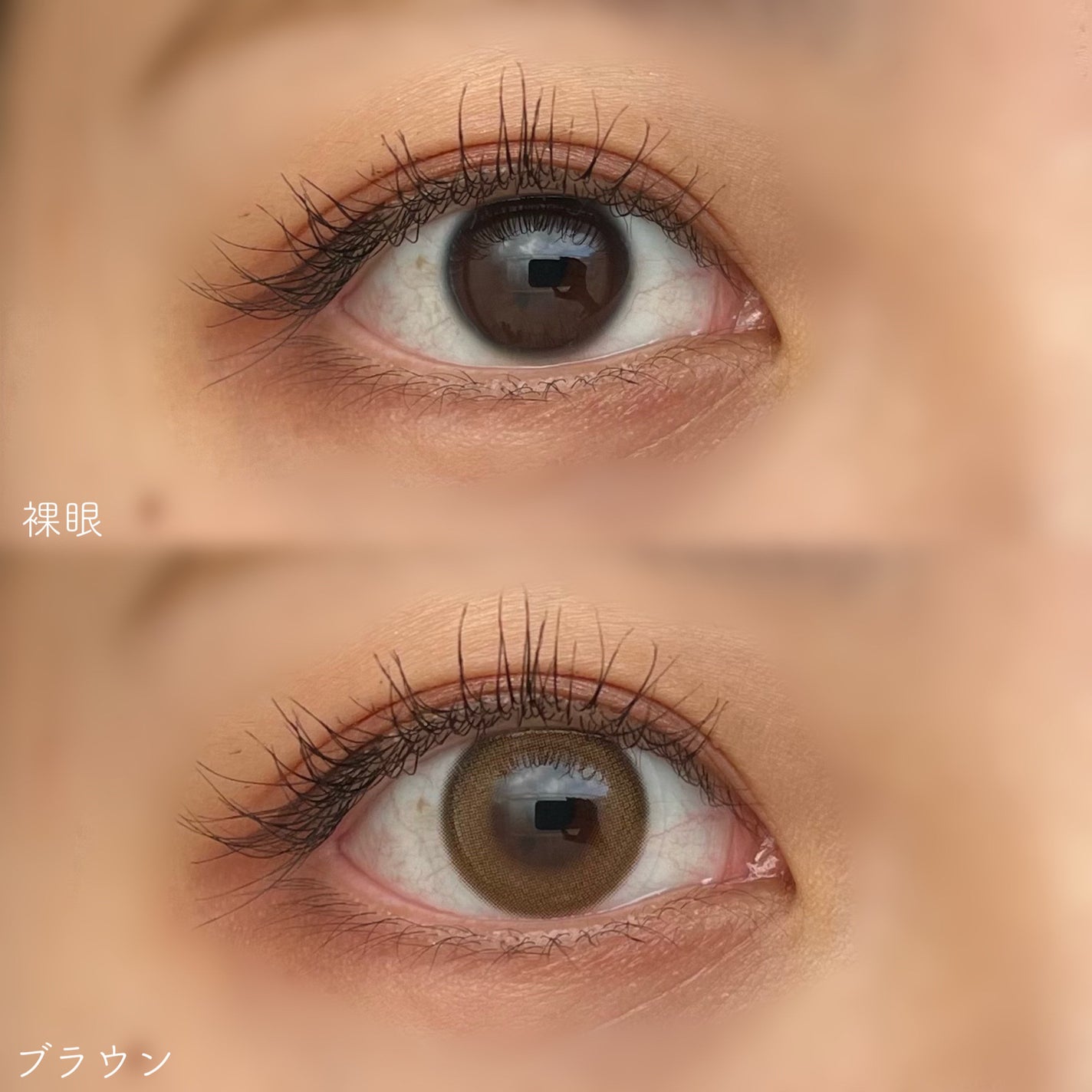 Ending 1day/OLENS/ワンデー(1DAY)カラコンを使ったクチコミ(2枚目)