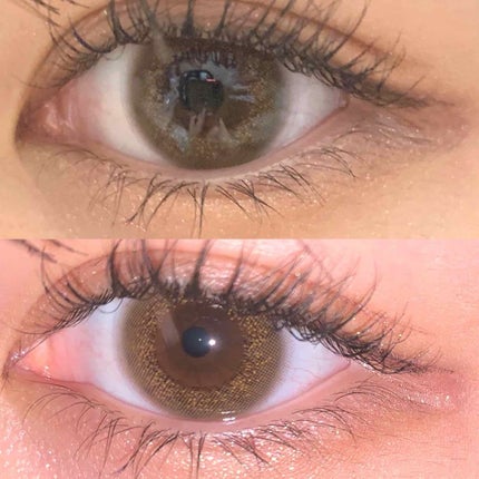 Angelcolor Bambi Series Vintage 1day/AngelColor/ワンデー(1DAY)カラコンを使ったクチコミ(1枚目)