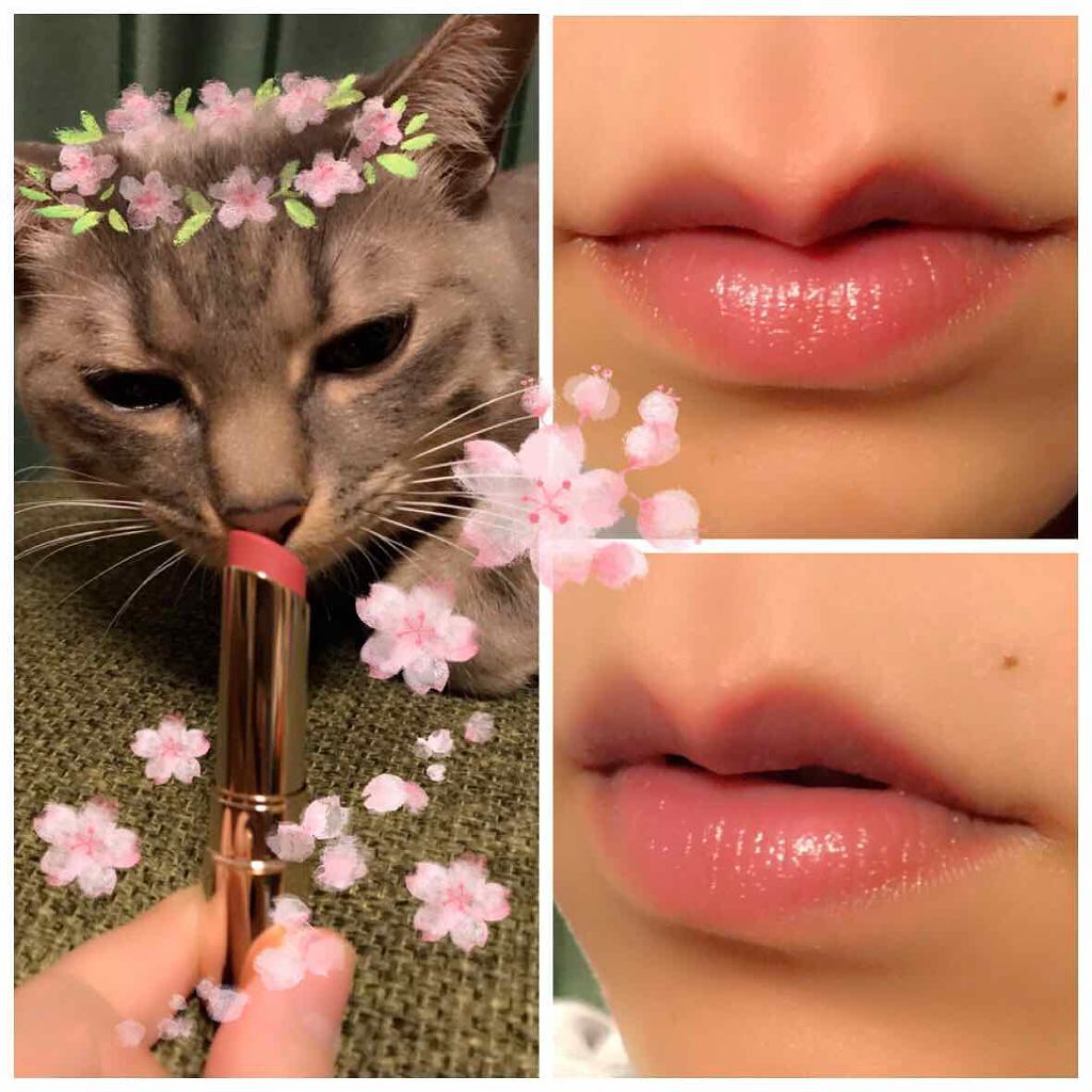 オペラ リップティント N/OPERA/リップティントを使ったクチコミ(1枚目)