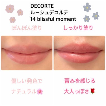 ルージュ デコルテ 14/DECORTÉ/口紅を使ったクチコミ（2枚目）