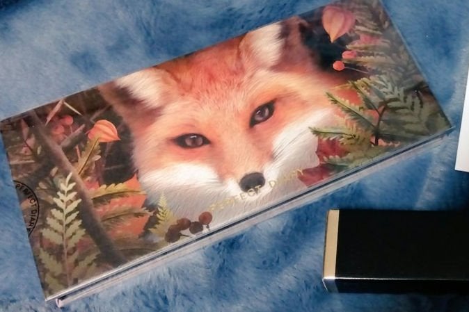 エクスプローラ12色 動物アイシャドウパレット/PERFECT DIARY/アイシャドウパレットを使ったクチコミ(1枚目)