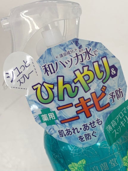 潤素肌 薬用和ハッカ水 (ミストタイプ)/コスメテックスローランド/ミスト状化粧水を使ったクチコミ(3枚目)