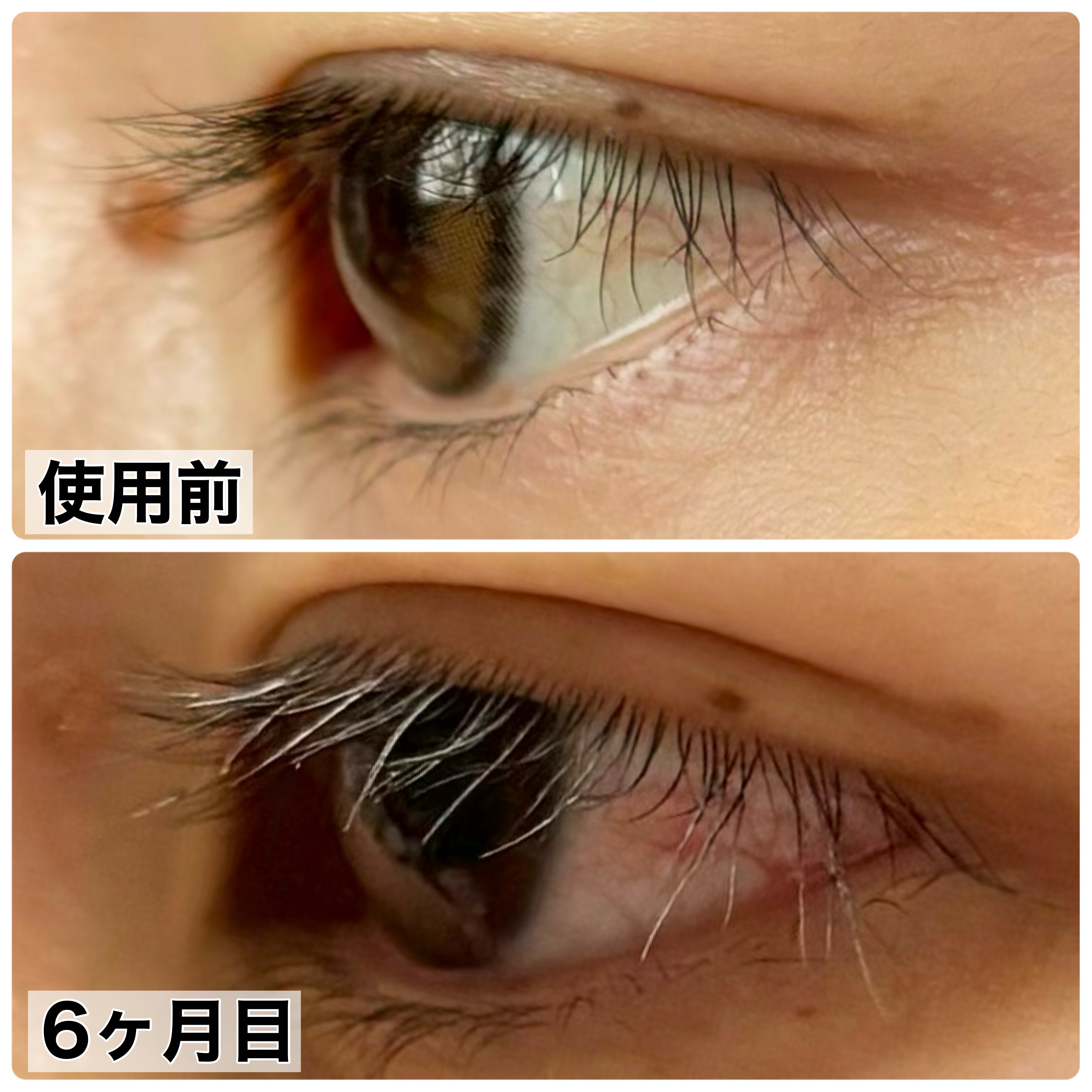 ラッシュルーティーン/キャンメイク/まつげ美容液を使ったクチコミ（2枚目）