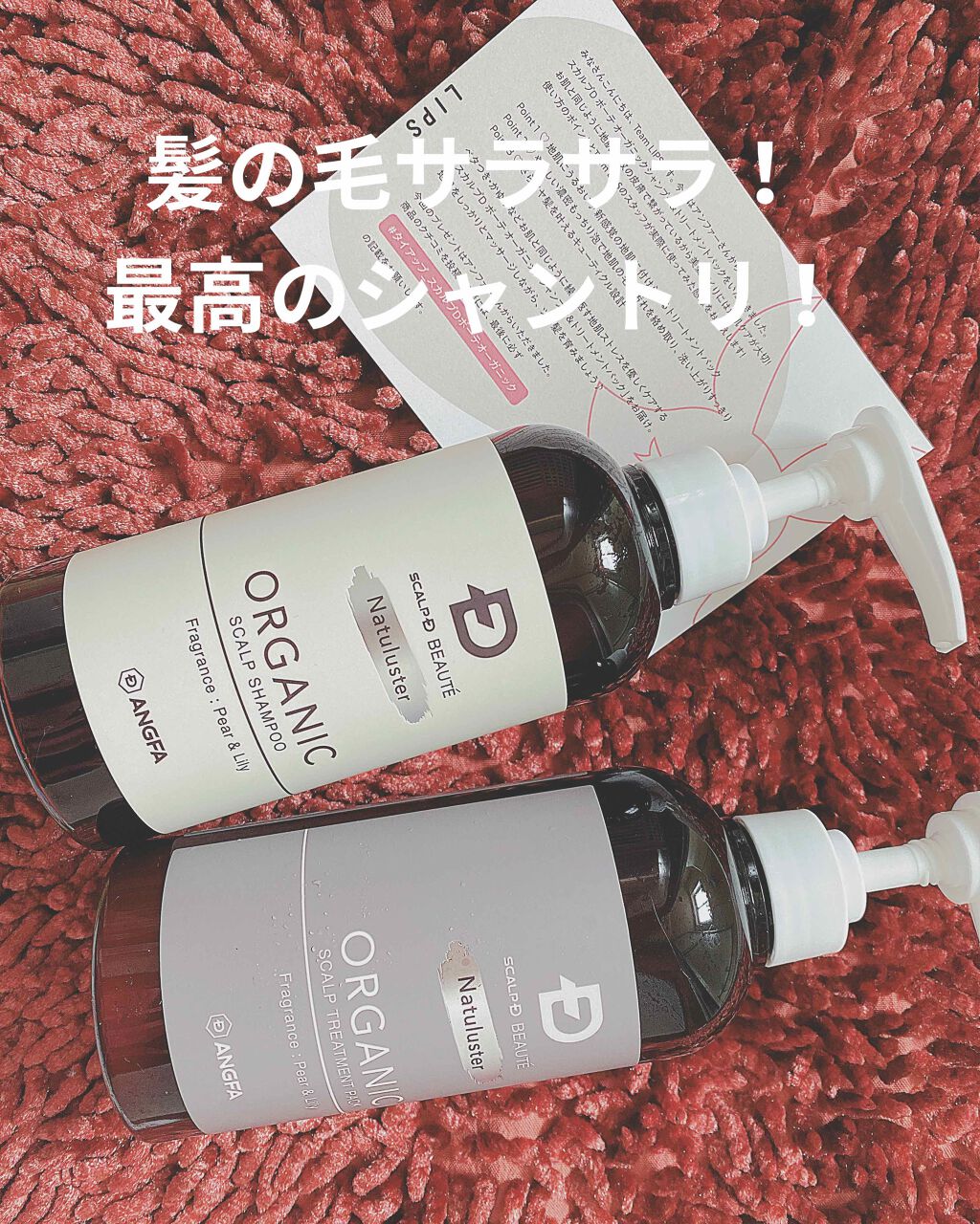 ああー！！！！
生理痛にうなされててすっかり投稿日時すぎてもうた…
ごめんなさい…😭😭😭😭😭😭

- - - - - - - - -▷◁.｡

アンファーさんから最高のシャントリを頂きました！
ありがとうございます！！！
投稿日