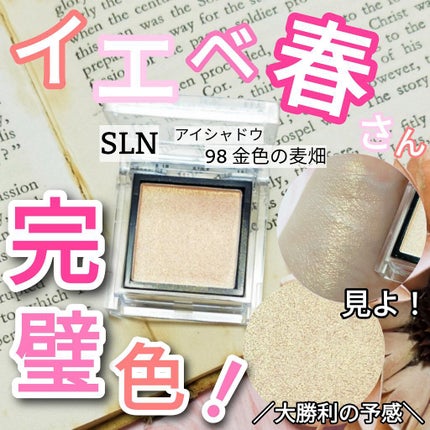 eyeshadow/SLN/単色アイシャドウを使ったクチコミ(1枚目)
