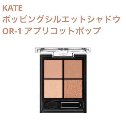 ケイト ポッピングシルエットシャドウ/KATE/アイシャドウパレットを使ったクチコミ(1枚目)