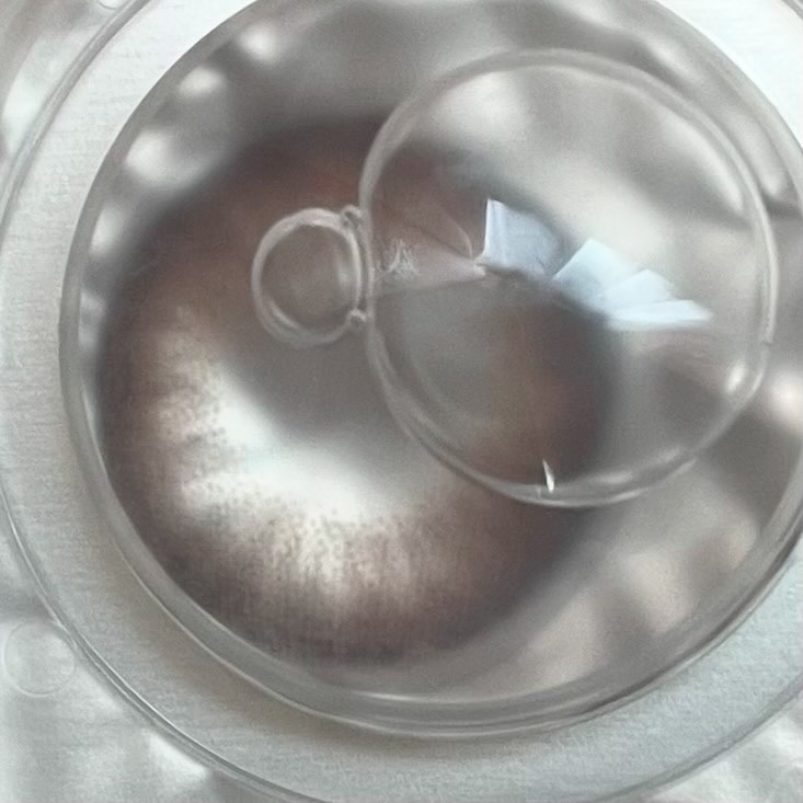 Flurry by colors 1day モカダークブラウン(うるうるチワワ)/Flurry by colors/ワンデー（１DAY）カラコンを使ったクチコミ（3枚目）