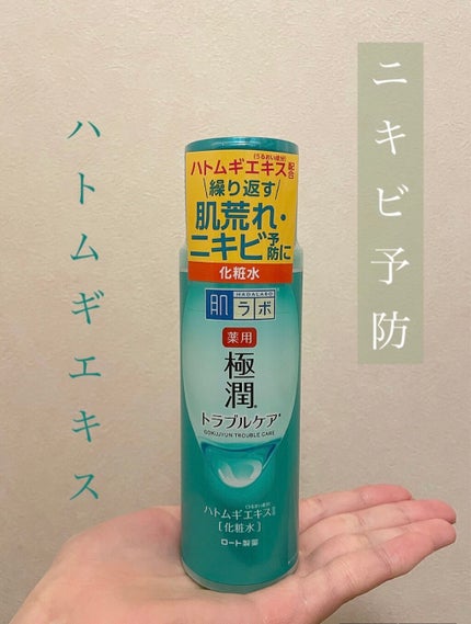 薬用 極潤 スキンコンディショナー/肌ラボ/化粧水を使ったクチコミ(1枚目)