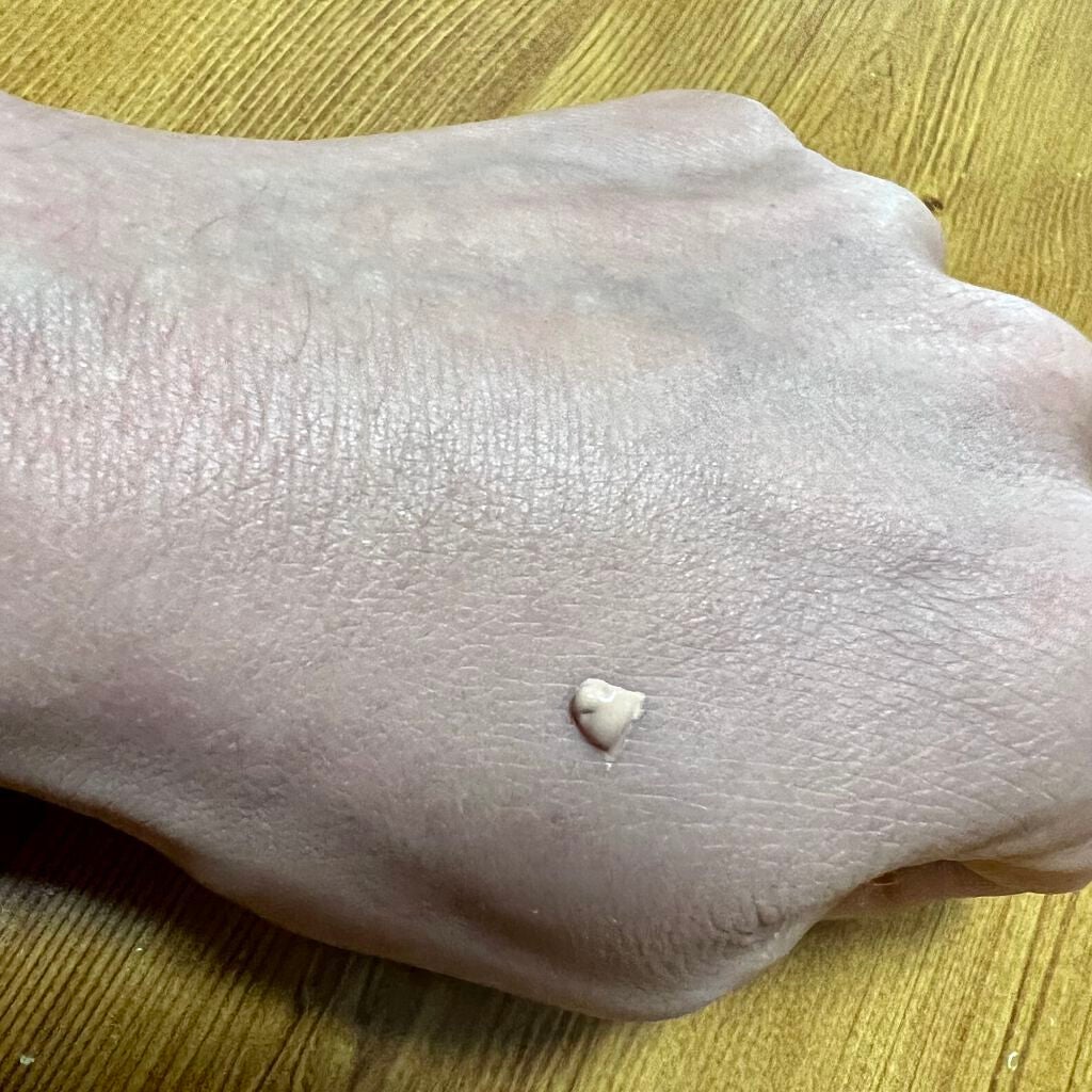 カネボウ ラスタークリームファンデーション/KANEBO/クリーム・エマルジョンファンデーションを使ったクチコミ(2枚目)