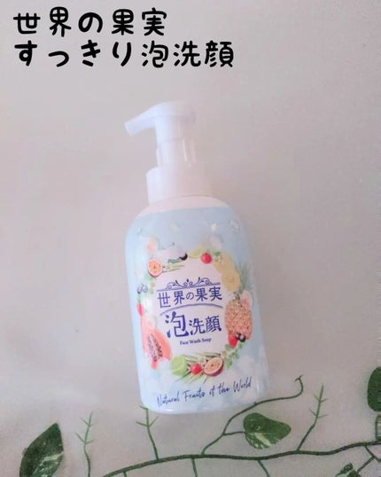 世界の果実 すっきり泡洗顔/世界の果実/泡洗顔を使ったクチコミ(1枚目)