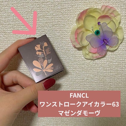 ワンストロークアイカラー/ファンケル/単色アイシャドウを使ったクチコミ(1枚目)