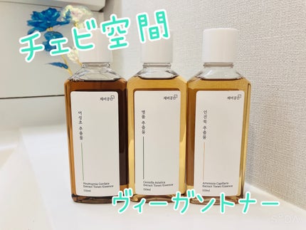 スキンケアトナー/CHAEB GONGGAN/化粧水を使ったクチコミ(1枚目)