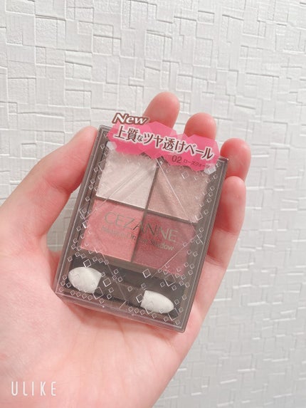 ニュアンスオンアイシャドウ/CEZANNE/アイシャドウパレットを使ったクチコミ(1枚目)