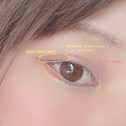 ZEESEA「ファンタジーパーク」12色アイシャドウパレット/ZEESEA/アイシャドウパレットを使ったクチコミ(2枚目)