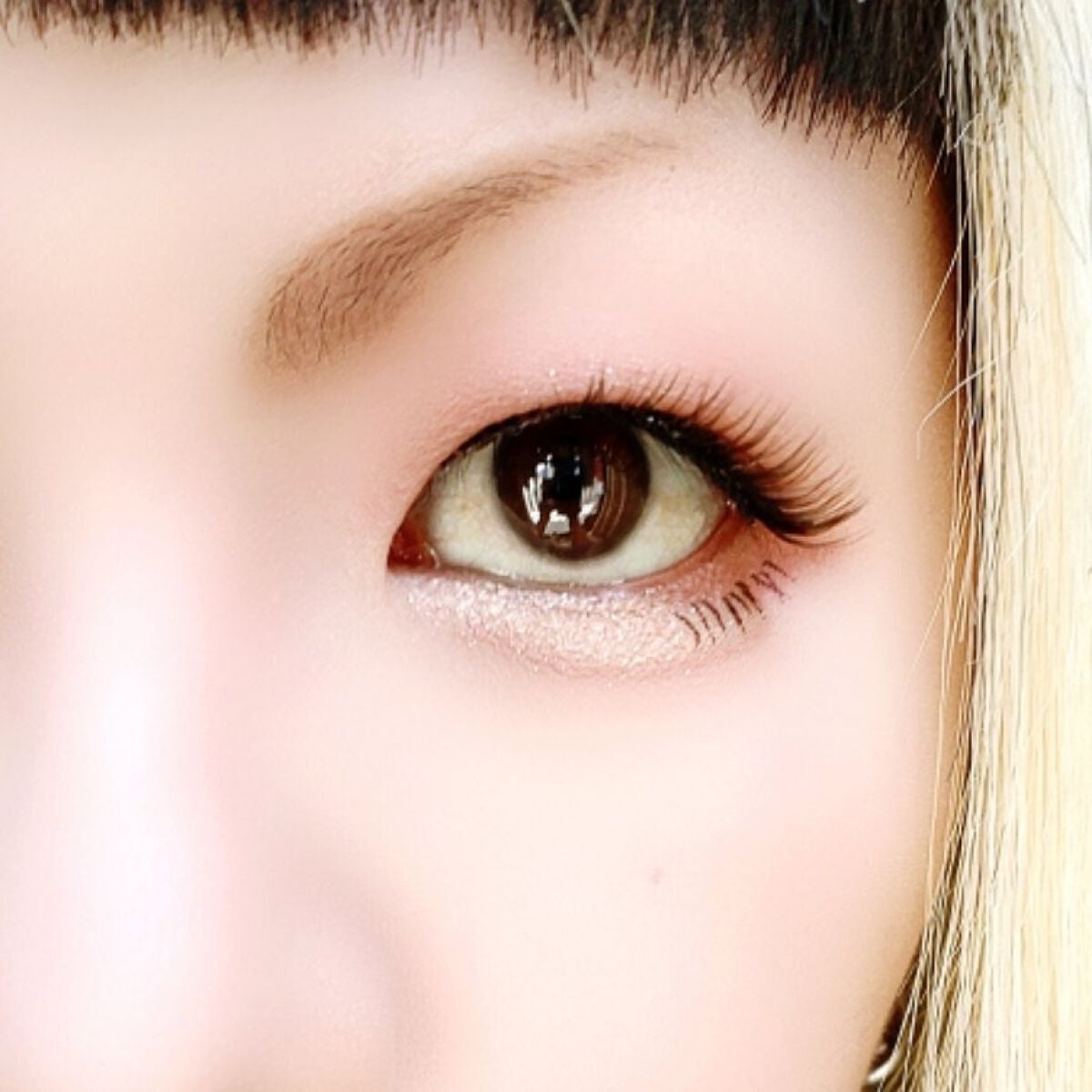 シルキースフレアイズ(マットタイプ)/キャンメイク/アイシャドウパレットを使ったクチコミ(6枚目)