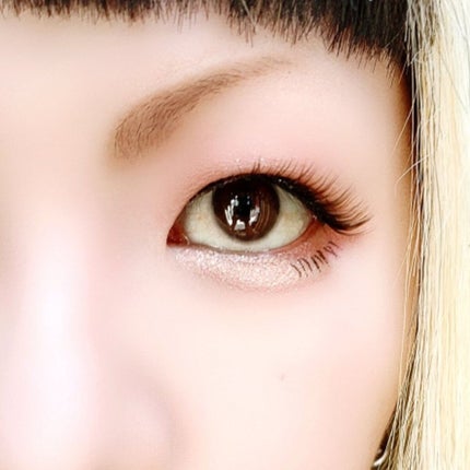 シルキースフレアイズ(マットタイプ)/キャンメイク/アイシャドウパレットを使ったクチコミ(6枚目)