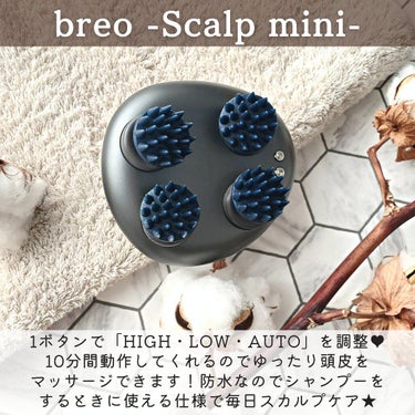 breo  スカルプミニ/breo/ヘアケアグッズを使ったクチコミ（3枚目）