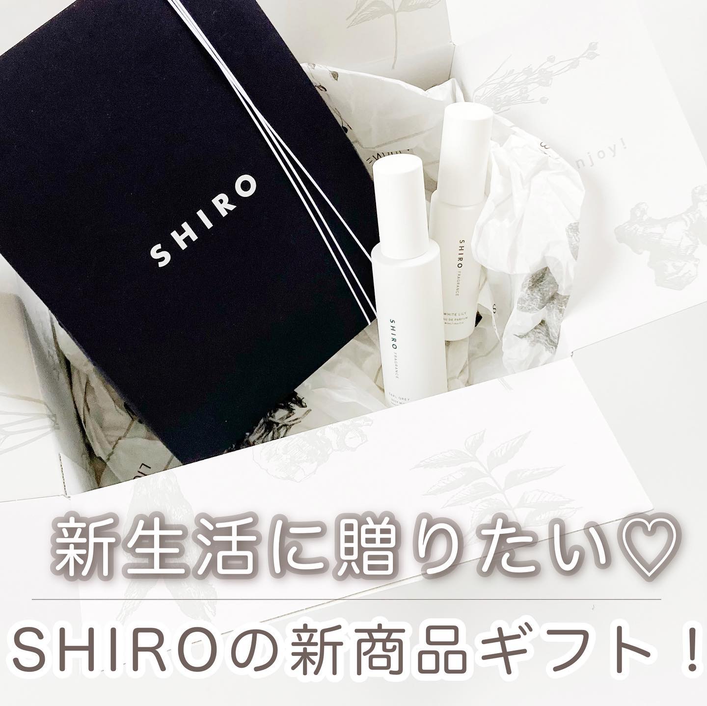 アールグレイ ボディミスト/SHIRO/香水(レディース)を使ったクチコミ（1枚目）