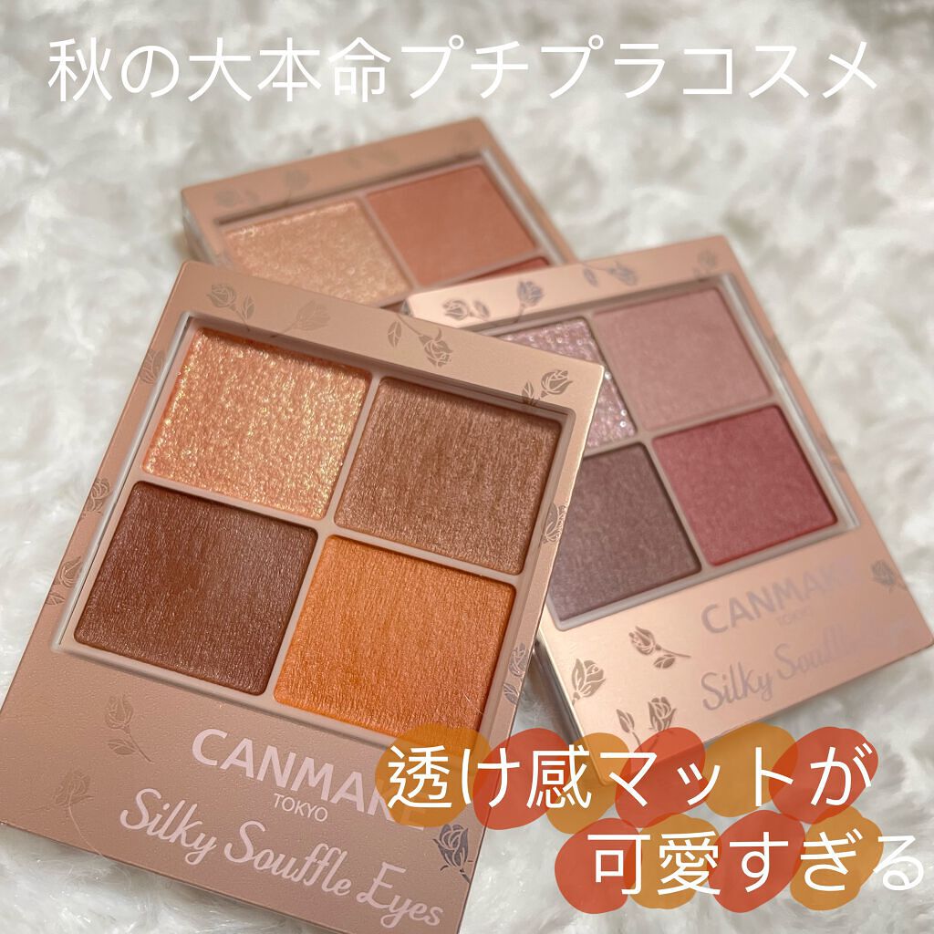 シルキースフレアイズ（マットタイプ）/キャンメイク/アイシャドウパレットを使ったクチコミ（1枚目）