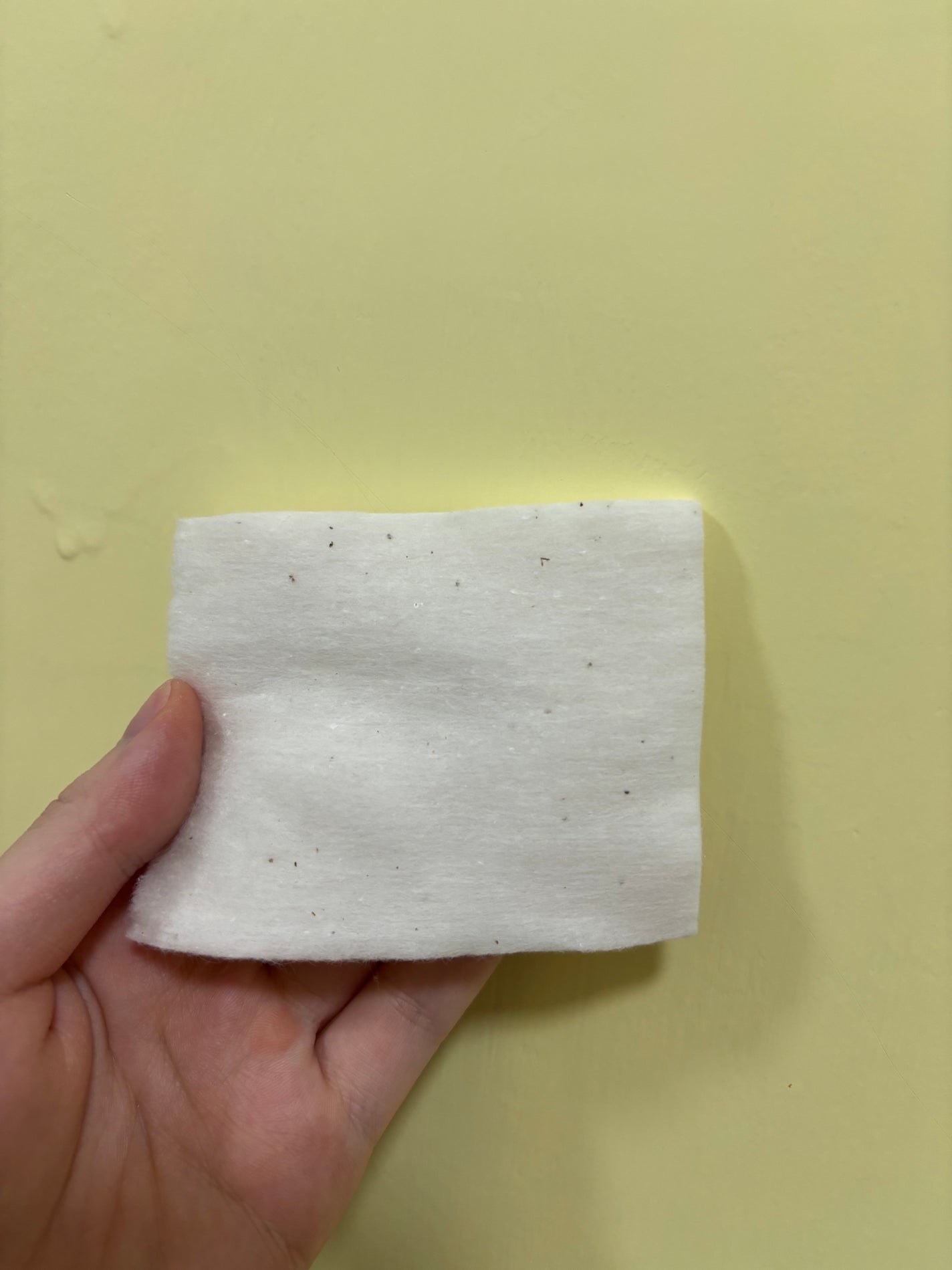 オーガニック コットン R/THREE/コットンを使ったクチコミ(4枚目)