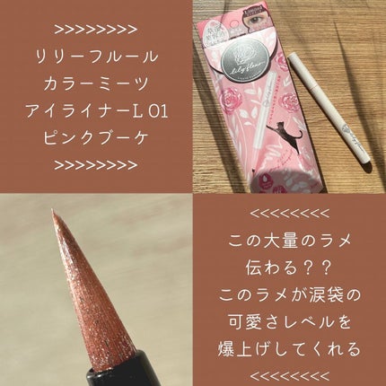 カラーミーツ アイライナーL /リリーフルール/リキッドアイライナーを使ったクチコミ(2枚目)