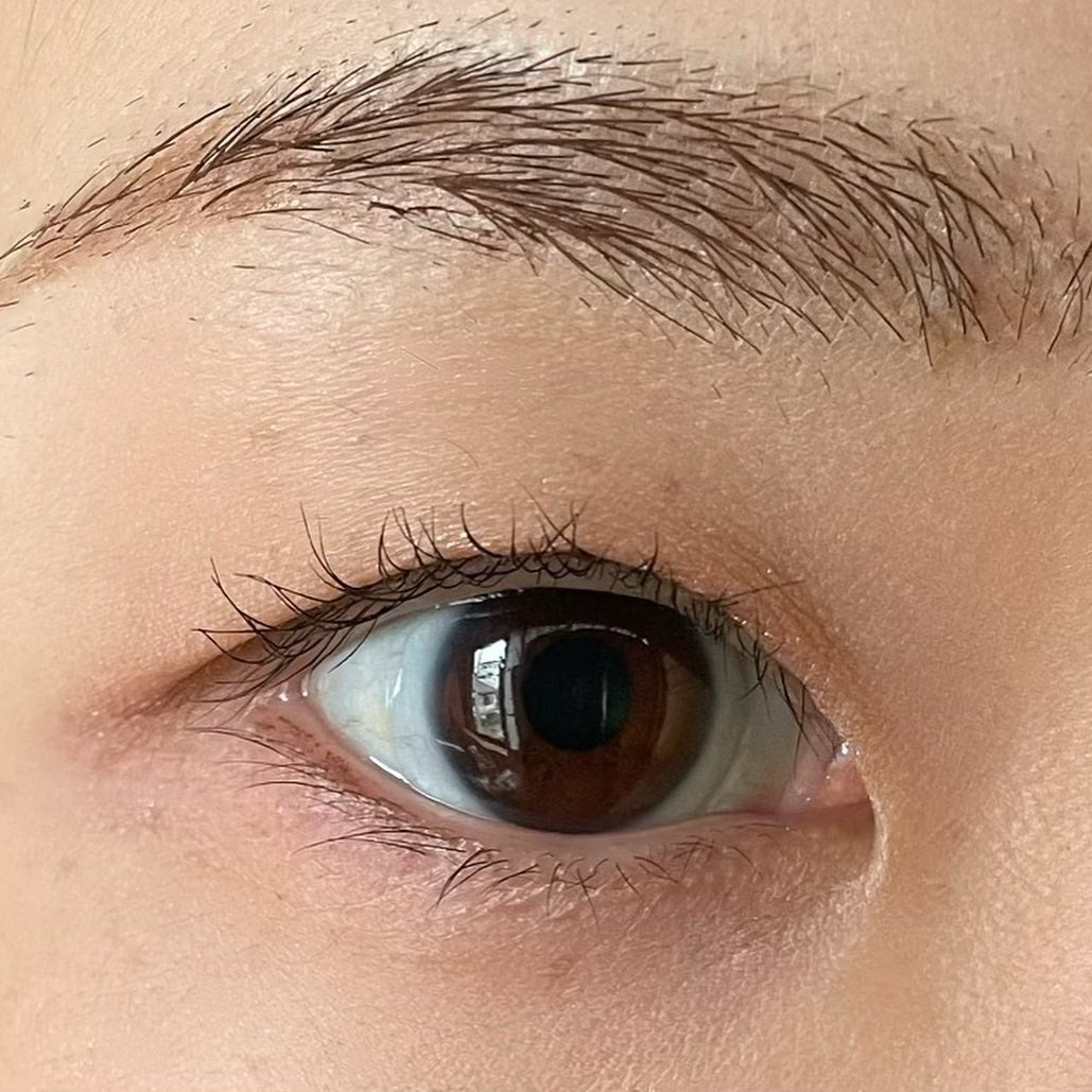 パノラマデザイン アイパレット/Visée/アイシャドウパレットを使ったクチコミ(5枚目)