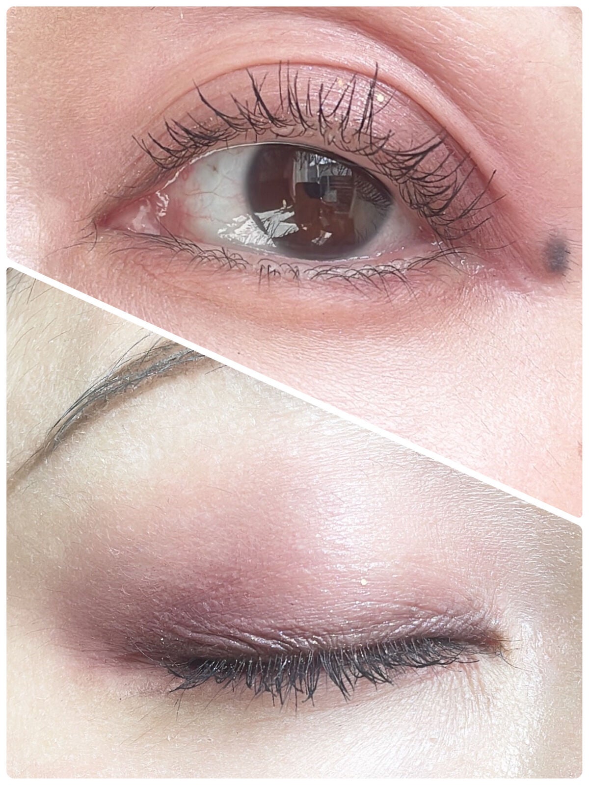 プロ アイ パレット/CLIO/アイシャドウパレットを使ったクチコミ(2枚目)