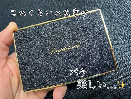 アイカラーパレット リミテッドコレクションa/Amplitude/アイシャドウパレットを使ったクチコミ(2枚目)