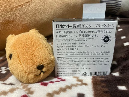 ロゼット洗顔パスタ ブラックパール/ロゼット/洗顔フォームを使ったクチコミ(5枚目)