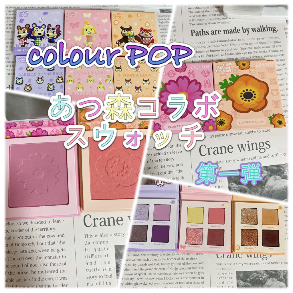 what a hoot/ColourPop/アイシャドウパレットを使ったクチコミ（1枚目）
